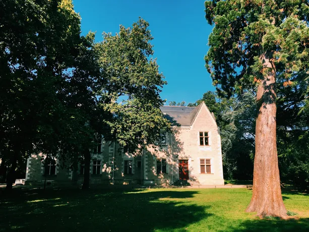 stationnement coronavirus angers